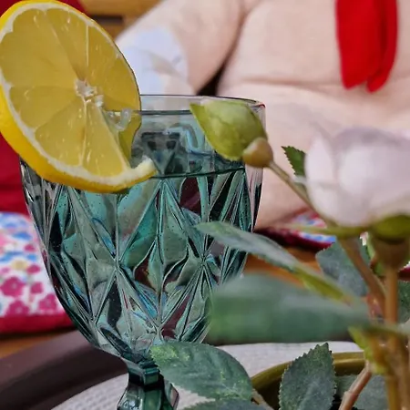 公寓 Royal Zlatibor *